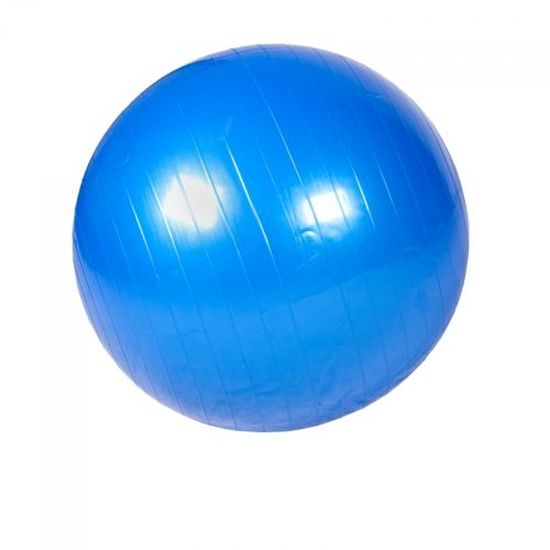 Swiss ball GORILLA SPORTS Ballon de gym 55cm bleu Fitness