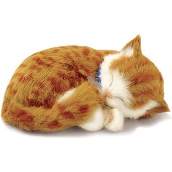 Peluche Interactive - Chat Tabby Orange - Perfect Petzzz - 65431 - Animal Qui Respire pour de Vrai - 25 cm