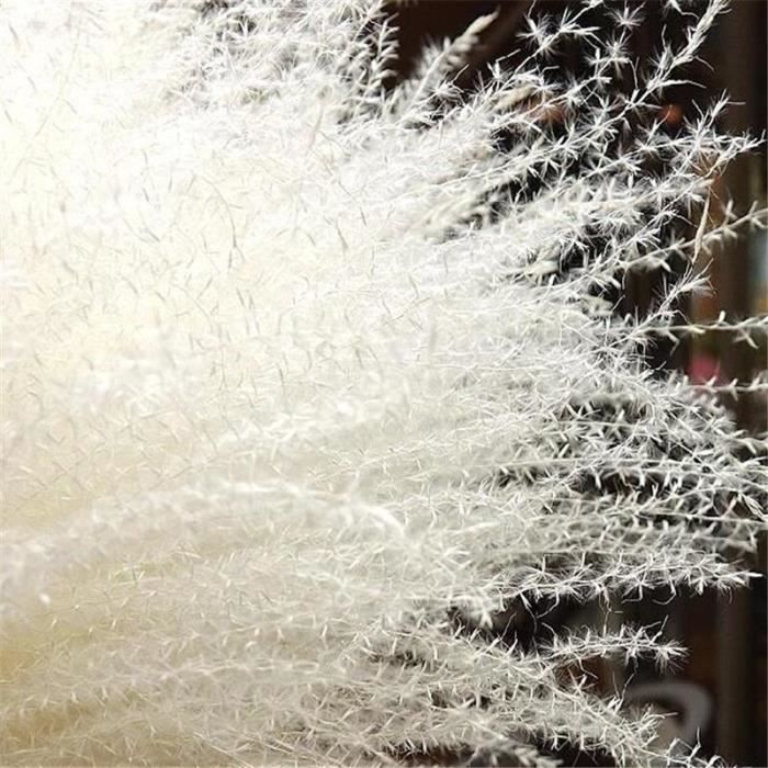 Pampas herbe décor blanc-rose utilisation de mariage décor à la maison pampas herbe plantes séchées - 10pcs White color-S
