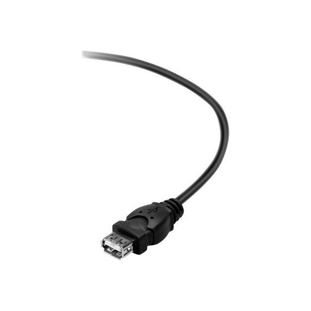BELKIN Câble rallonge USB 2.0 A/A MF