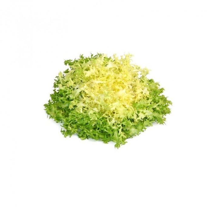 Graine - Semence - Chicorée frisée grosse pommant seule