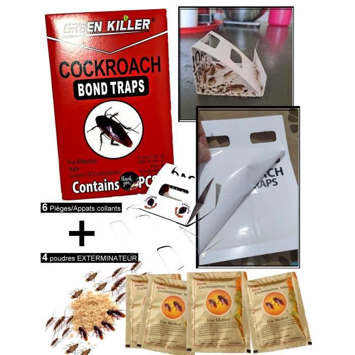 Poudre appât anti cafard Pack 50 Sachets piege anti-cafards Bon Qualité