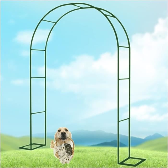 Arche De Jardin Métallique Pour Plantes Grimpantes - Acier Galvanisé, Facile à Monter - Idéal Mariage, Décoration Extérieure