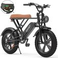 Vélo électrique - 20" avec Pneu 4.0 Fat - Batterie amovible 48V 25Ah - E-BIKE Tout Terrain - VTT Électrique-0