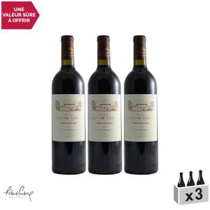 VIN ROUGE Château Clos De Sarpe Rouge 2016 - Lot de 3x75cl - Appellation AOC Saint-Emilion Grand Cru - Vin Rouge de Bordeaux - 95-100 Robert