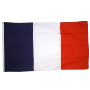 Digni Drapeau France Poitou Charentes 90 X 150 Cm Sticker Gratuit Boutique Du Supporter Haysev Football