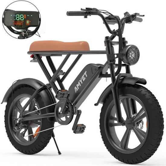 Vélo électrique - 20" avec Pneu 4.0 Fat - Batterie amovible 48V 25Ah - E-BIKE Tout Terrain - VTT Électrique