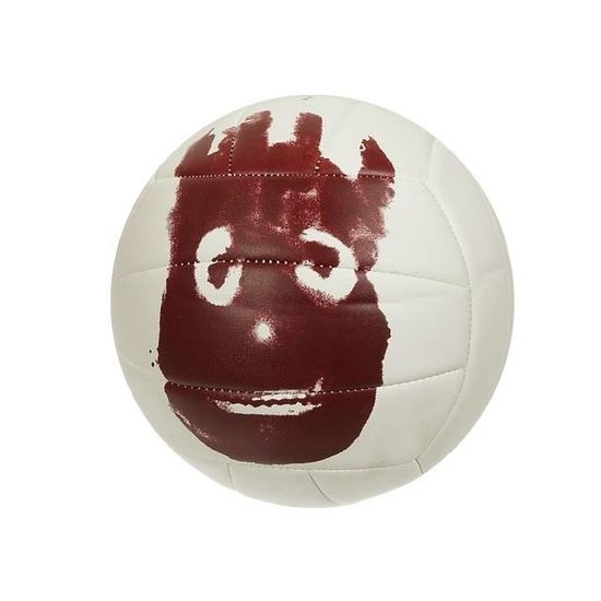 Ballon De Volley-Ball Wilson RéCréatif Extérieur Taille Officielle - Idéal Plage Et Jardin