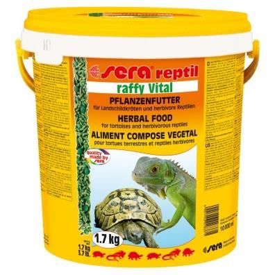 nourriture tortue terrestre et autre reptile herbi