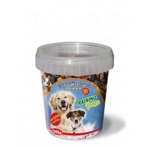 Formation Bones Bateau 500 GR