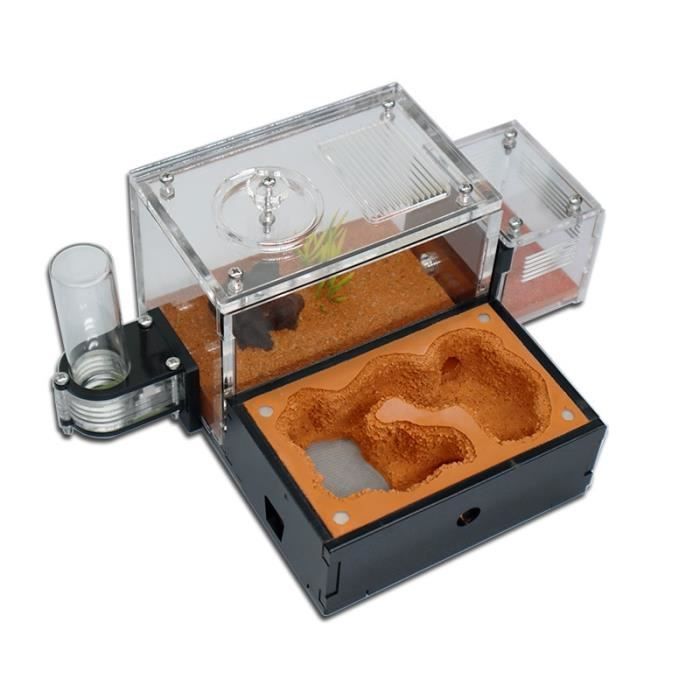 AntHouse – Fourmilière Naturelle 3D 30x15x10 Cm Avec Colonie De Fourmis, Sable Et Kit De Démarrage Complet Kit Fourmis 3D 30cm AntHouse – Fourmilière Naturelle 3D 30x15x10 Cm Avec Colonie De Fourmis, Sable Et Kit De Démarrage Complet Kit Fourmis 3D 30cm