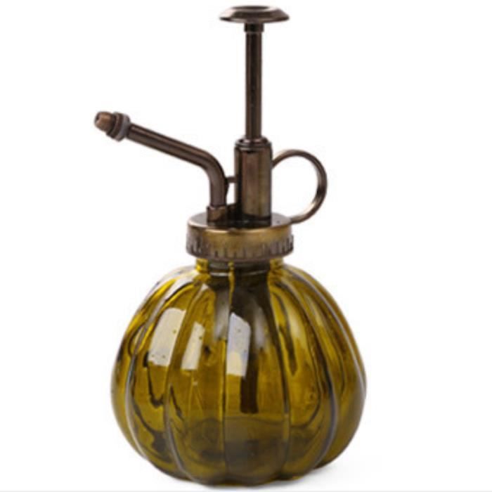 Vaporisateur Plante En Verre Vintage Ray - Arrosoir Pulvrisateur 200ml  Pour Plantes D'Intrieur | Dcoration Rtro lgante Brumisateur Plante