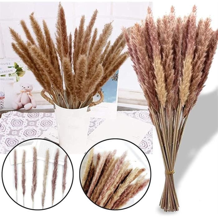 Bouquet Fleurs Séchées Pampa Naturel - 30 Tiges 58-60 Cm, 100% Naturelles, Décoration Intérieure Bohème