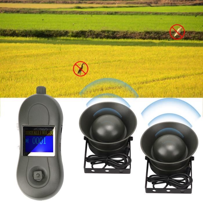 Anti-puces lapin et rongeurs, produits antiparasitaires
