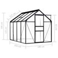 WXS Serre Anthracite Serres de jardin en aluminium, polycarbonate 4,75 m² 190 x 250 x 125/195 cm-2