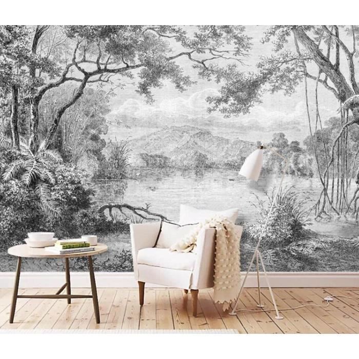 Papier Peint Panoramique 3D Paysage Noir Et Blanc Papier Peint 3D ...