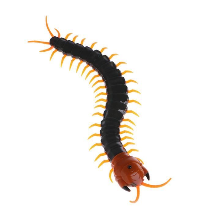 Tipmant Simulation RC Mille-Pattes Faux Scolopendra télécommande vé