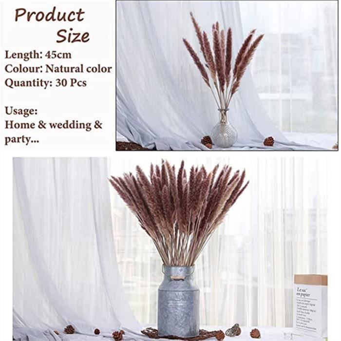 Bouquet de fleurs séchées - GH - 30 pcs - Herbe de Pampa naturelle - 50 ...