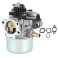 Fydun remplacement de carburateur Carburateur avec joints adaptés pour Briggs and Stratton 2700-3000PSI Troy Bilt Power Washer 7.75-0