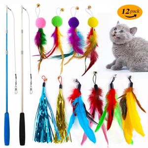 Canne à pêche pour chat ventouse • Teaser avec plumes et grelot -  Catedogshop
