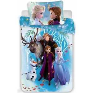 Disney Frozen Magical Seasons Parure de Lit Enfant 1 Personne, 100% Coton, Oeko-TEX, Housse de Couette 140x200 cm + 1 Taie d'oreiller 63x63 cm, Imprimé Réversible Fille
