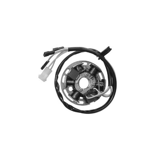 Stator + Rotor D'Allumage 6 Pôles Pour Gilera DNA Runner 50 - Neuf Générique