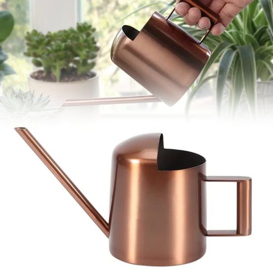 Mini Arrosoir Acier Inoxydable 300 Ml - Long Bec Pour Plantes D'intérieur, Bonsaï, Succulentes - Design Noir élégant