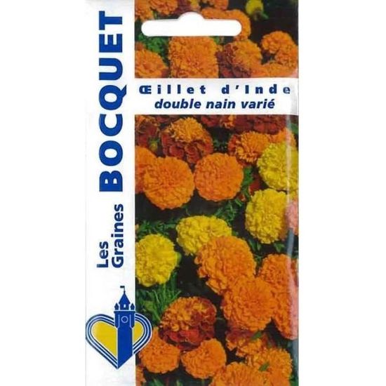 Graines De Coreopsis Annuel Tinctoria Varié - Sachet 2 G - Fleurs Annuelles Colorées - Les Graines Bocquet