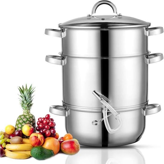 Un Extracteur De Jus Professionnel Pour Les Bars à Jus