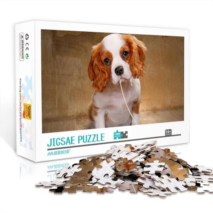 Musicien Pop Puzzle Pour Enfants Puzzles Pour Adultes 1000 Pièces