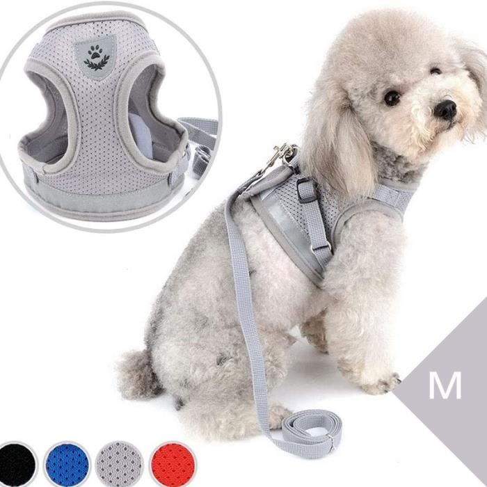 Harnais Animal Anti TractionHarnais chien Ajustable FiletDouillet Harnais Chat avec Ensemble de Bande réfléchissante-Gris M