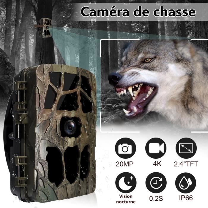 Caméra de Chasse 4K avec écran - Vision Nocturne - SecurChasse