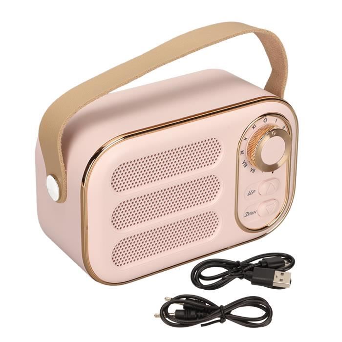 Conception De Haut-parleur Rose | Vecteur Gratuite