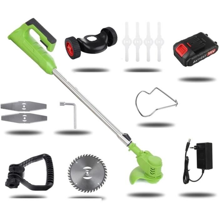 Désherbeur électrique sans Fil 12 V avec 2 Batteries et Chargeur