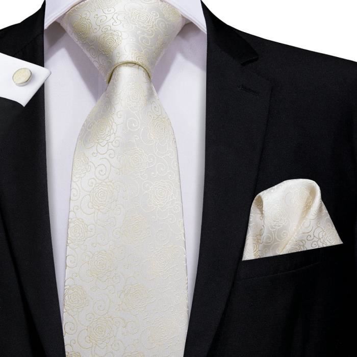 Ascot Homme WANYING Cravate Pré-nouée Réglable Avec Fermeture à