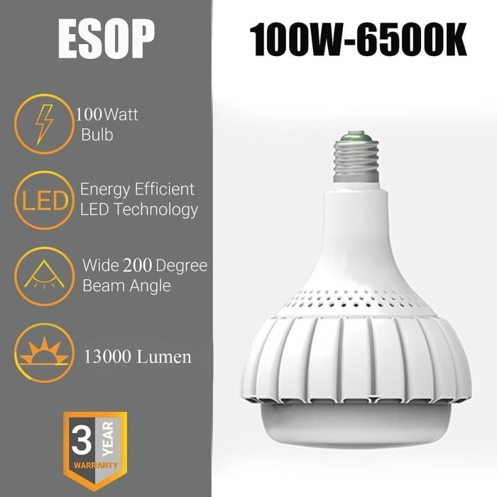 Ampoule LED E27 100W Blanc Froid avec Adaptateur E40, Équivaut Ampoules à  Incandescence 800W, 6500K 13000LM Ampoule éclairage [699]