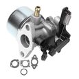 Fydun remplacement de carburateur Carburateur avec joints adaptés pour Briggs and Stratton 2700-3000PSI Troy Bilt Power Washer 7.75-2