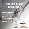 AMINO MAX (252 caps)|Amino|Superset Nutrition-2