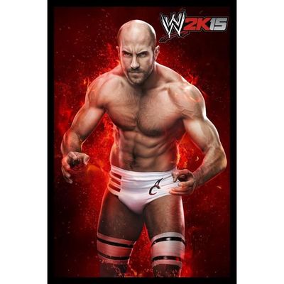 Jeu WWE 2K20 Sur PS4 - Bon état - Combat Et Catch PEGI 16