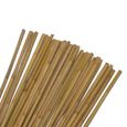 Tuteur en bambou - Idéal pour la pousse de vos plantes et légumes - Marron - 60 cm-0