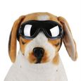 Lunettes de anti-UV pour animaux de compagnie, lunettes de noires pour chiens de protection UV, empêchent les animaux-0