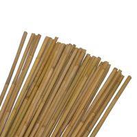 Tuteur en bambou - Idéal pour la pousse de vos plantes et légumes - Marron - 60 cm
