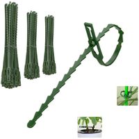 Câbles Pour Plantes 13 17 23 cm Vert Réglables   Réutilisables En plastique Noyau Flexible Pour Soutenir Plantes Lot de 220 serre