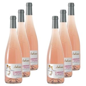 VIN ROSE Les Caves de la Loire - Lot 6x Vin rosé Ambroisie Cabernet d'Anjou AOC - Loire - Bouteille 750ml