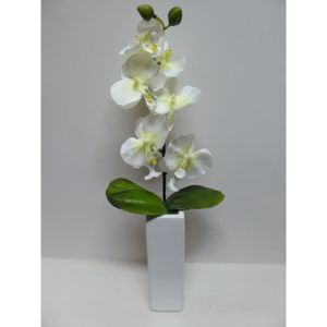 Grandes Plantes Artificielles En Pots