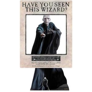 OBJET DÉCORATION MURALE Cadre à selfie en carton Blanc Harry Potter, Le Pr