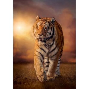 BÂTON - ÉPÉE - BAGUETTE Puzzle Adulte : Tigre Dans La Savane - 1500 Pieces