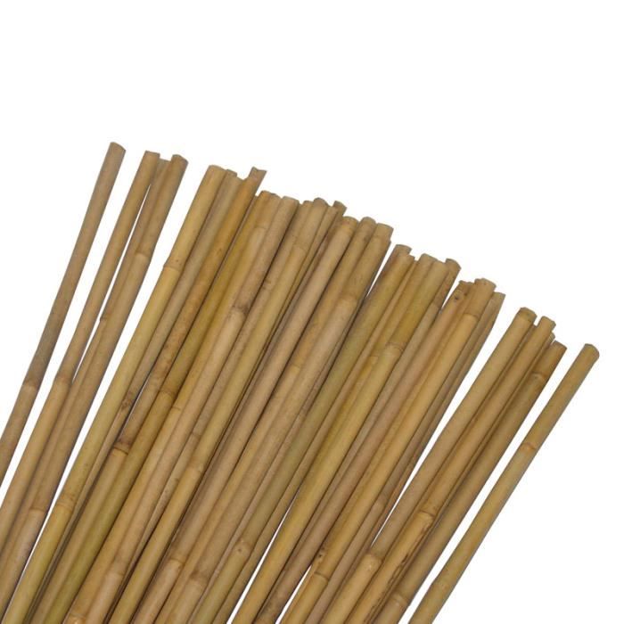 Tuteur en bambou de 60 cm - Idéal pour la pousse de vos plantes et légumes