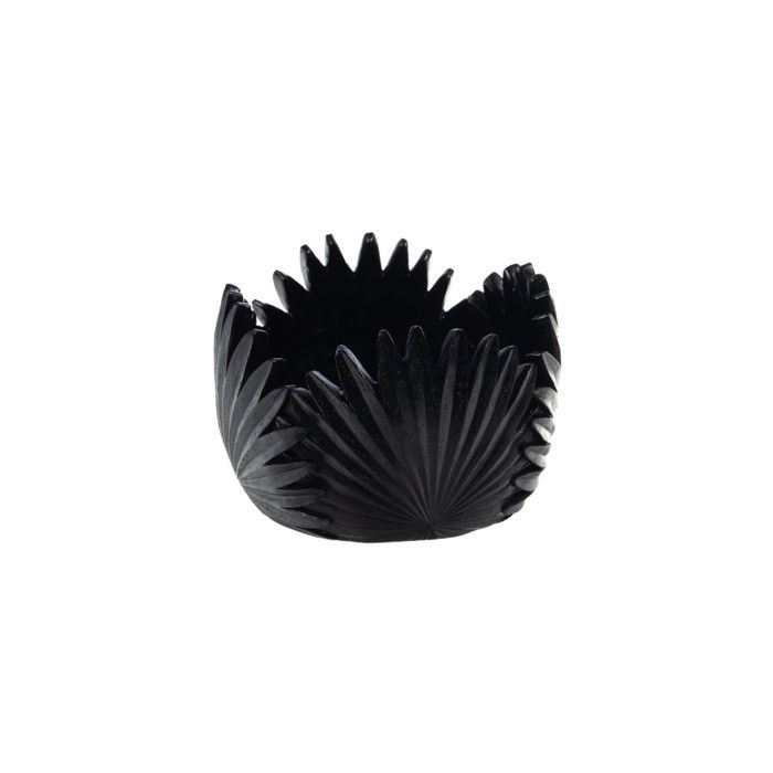 Coupe Tropical noire 15 cm - Amadeus Coupe Tropical noire 15 cm - Amadeus