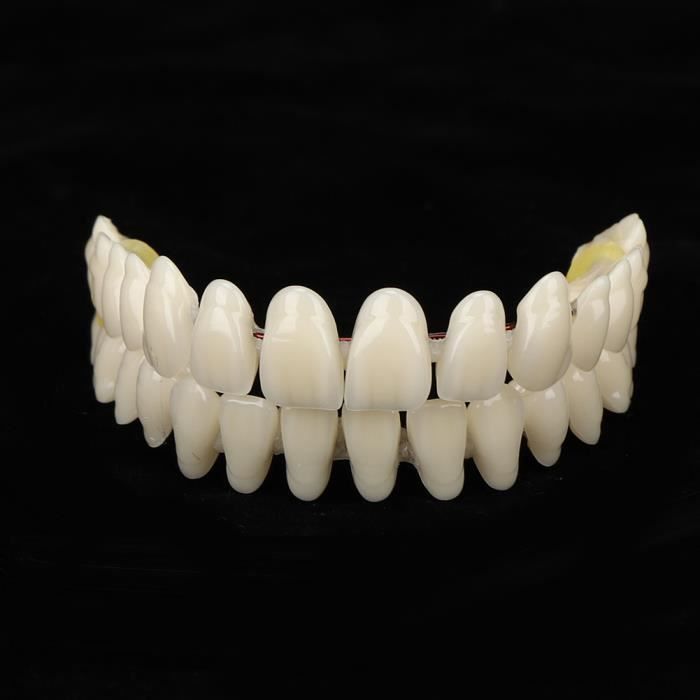 AYNEFY Prothèse dentaire 10pcs résine prothèse dentaire dents modèle d'enseignement accessoire d'approvisionnement dentaire